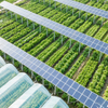 Sistema Agrícola Solar Kits de Painel Solar de Sistema Agrícola para PV para Montagem PV de Montagem Solar Farm Farm
