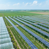 Sistema Agrícola Solar Kits de Painel Solar de Sistema Agrícola para PV para Montagem PV de Montagem Solar Farm Farm